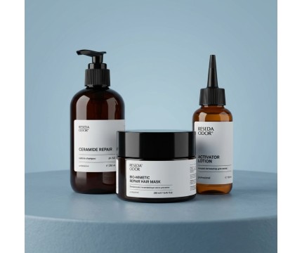 ResedaOdor Hair Repair Set
