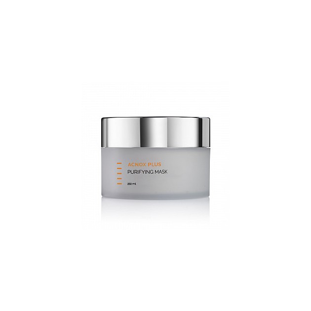 Holy Land Acnox Purifying Mask