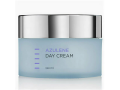 Holy Land Azulene Day Cream, 250мл