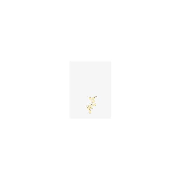 LA Biosthetique Protective Lipid Capsules TS