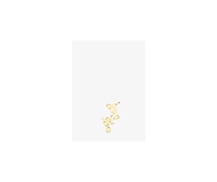 LA Biosthetique Protective Lipid Capsules TS