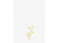 LA Biosthetique Protective Lipid Capsules TS