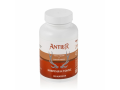ANTLER Энергия и тонус Панты + золотой корень 120 капсул