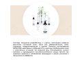 Mesaltera Hyaluron Active Lotion, 195мл