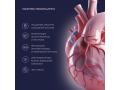 Verover Pharma KEY Circulatory, 90 капсул